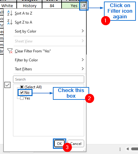 Use the Filter Tool to Highlight Yes and No