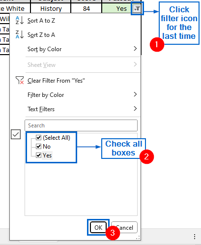 Use the Filter Tool to Highlight Yes and No