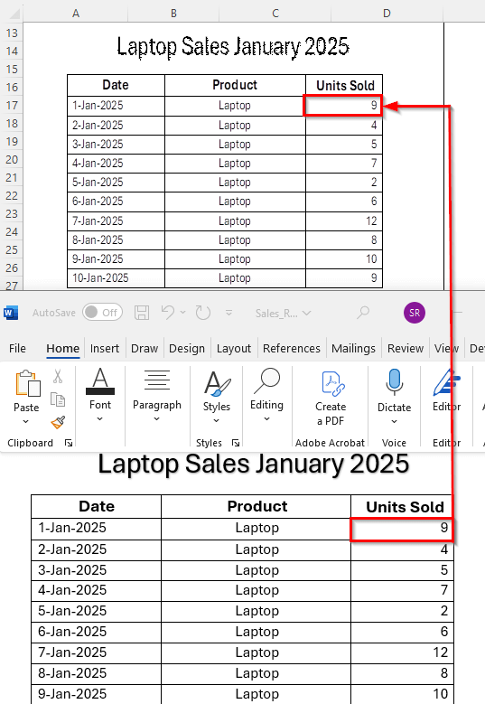Insert the Word File as a Linked Object
