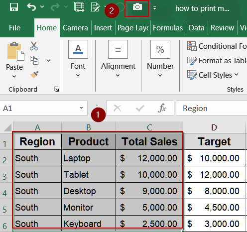 Consolidate Multiple Sheets on One Page Using the Camera Tool
