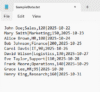 How to Import Text File with Multiple Delimiters into Excel - Excel Insider