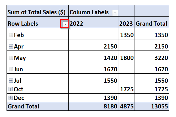 Using the PivotTable to Filter Dates by Month and Year