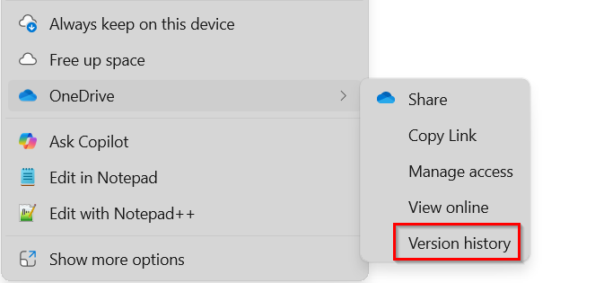 Use Version History and the Manage Access Option to See Who is in a Shared Excel File