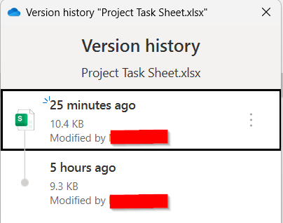 Use Version History and the Manage Access Option to See Who is in a Shared Excel File