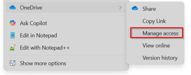 Use Version History and the Manage Access Option to See Who is in a Shared Excel File