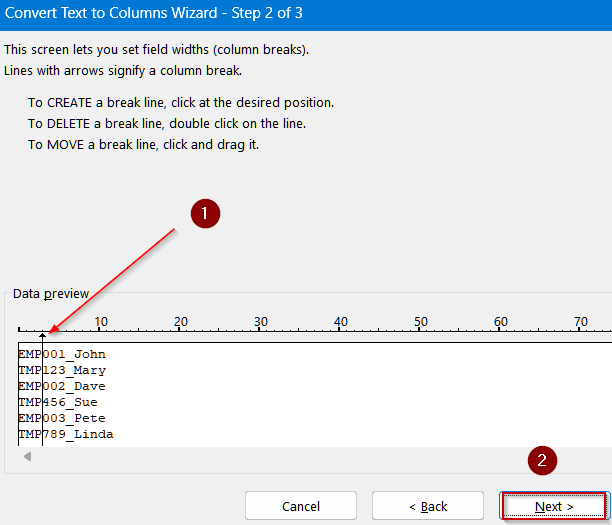Use Text to Columns for Fixed-Width Extraction