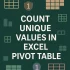 How to Count the Number of Instances in Excel Pivot Table